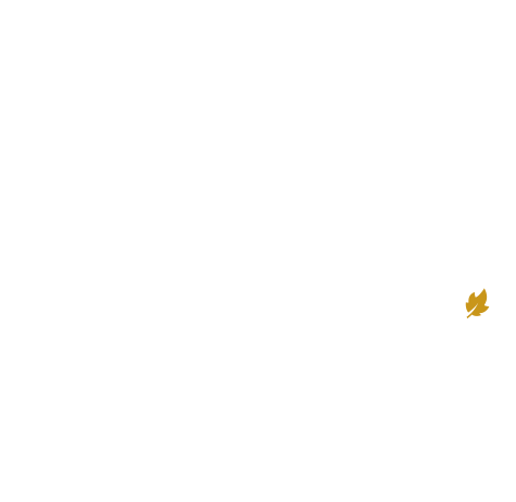 goxoki logo blanc